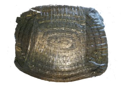 R1003,195 の画像